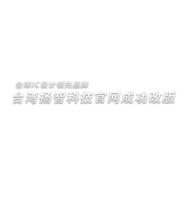 扬智科技品牌网站制作