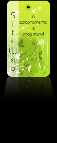 Web Site