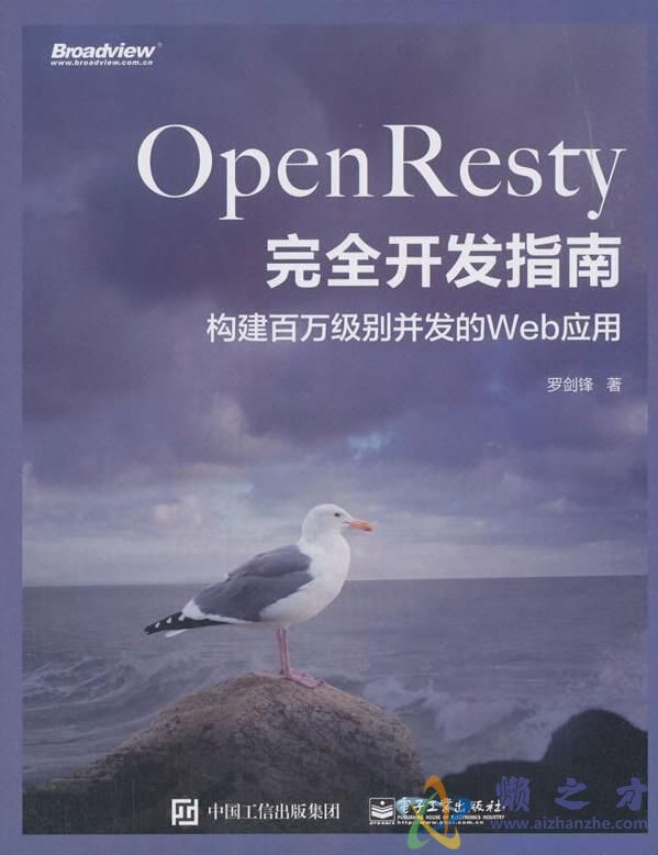 OpenResty完全开发指南：构建百万级别并发的Web应用[PDF][147.99MB]