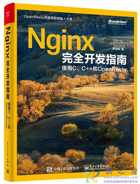 Nginx完全开发指南：使用C、C 和OpenResty[PDF][244.92MB]