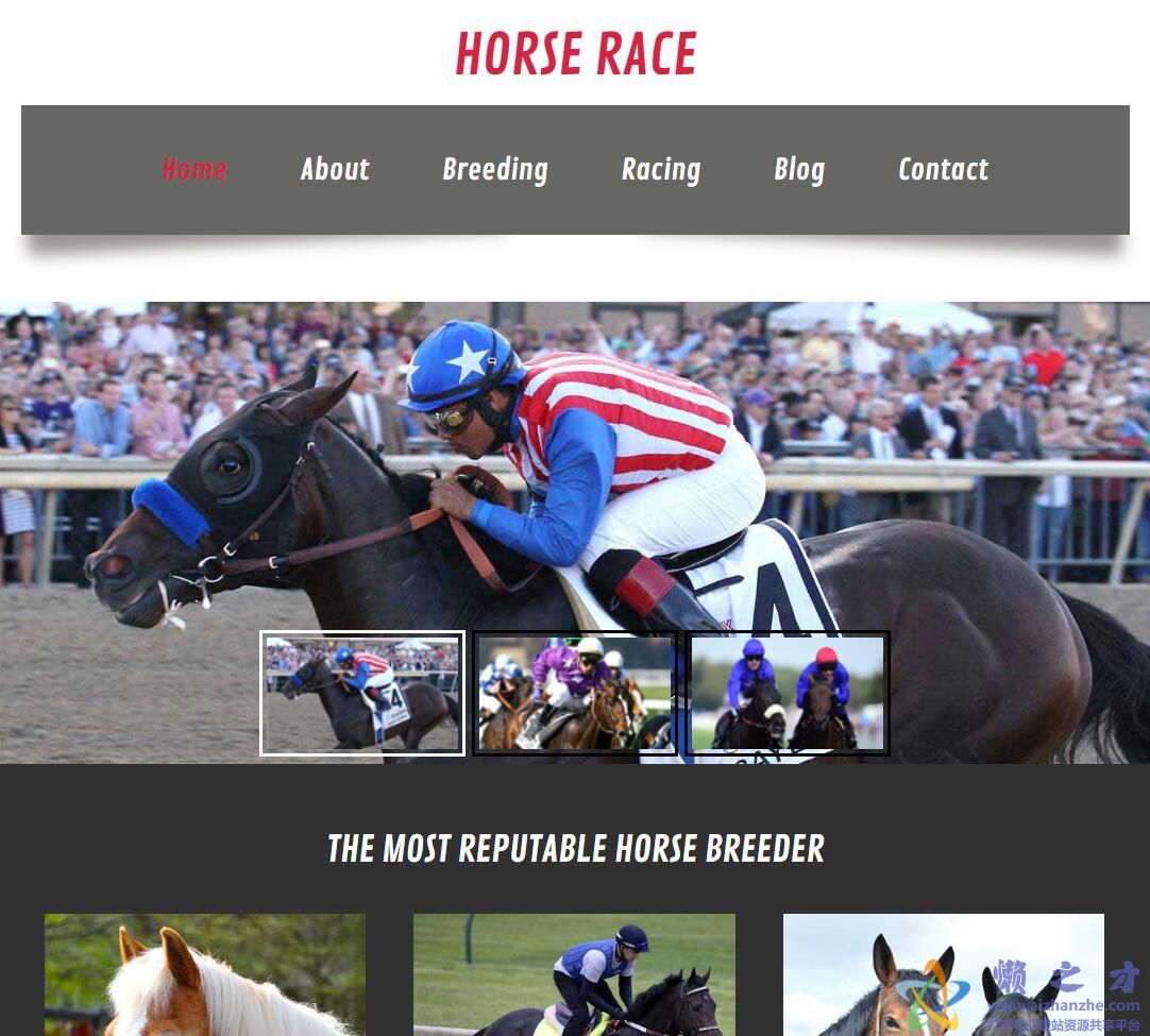 Horse马赛俱乐部bootstarp宣传网站模板