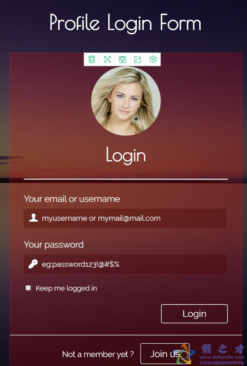 唯美注册登录响应式单页小部件web网站模板Profile