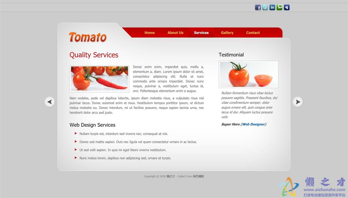 tomato滑动红色浅灰色微型站点网站模板