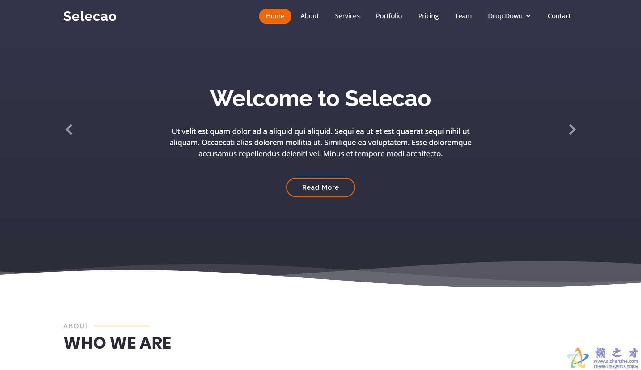 Selecao框架创建便捷响应式网站模板