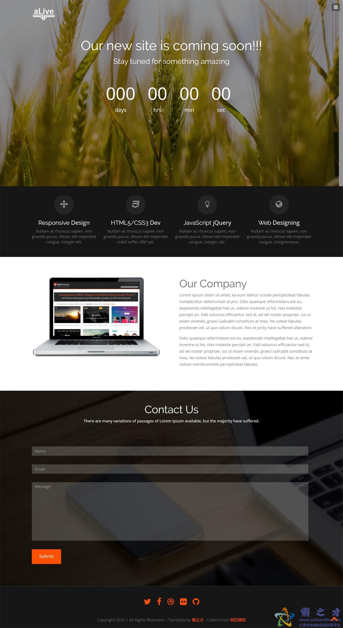 干净快速易于自定义多用途响应式网站模板