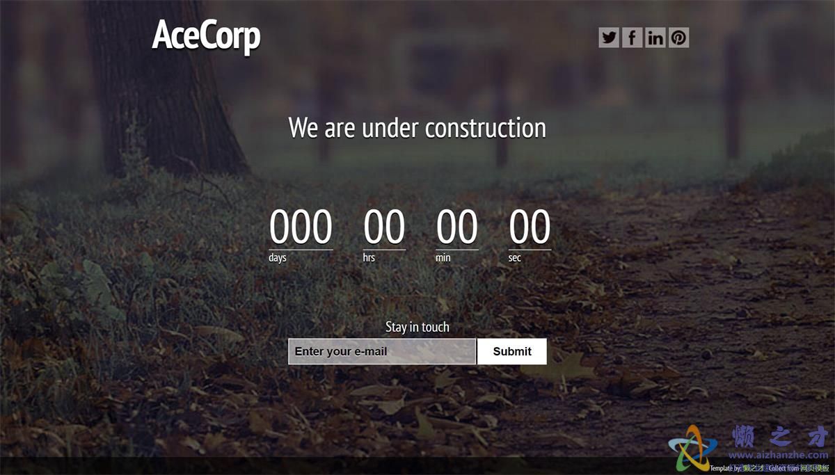 大气美观新颖轮播式单页网站模板