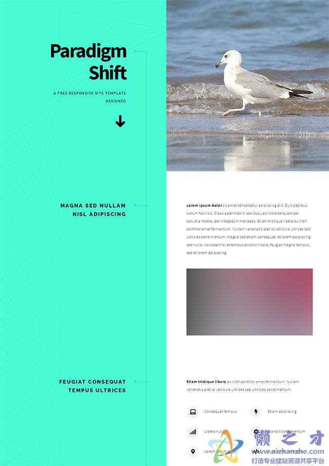 左右分屏单页网站模板