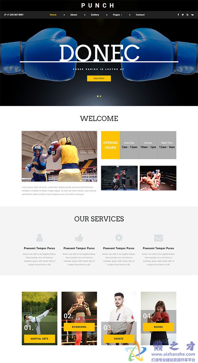 站立式格斗搏击网站模板