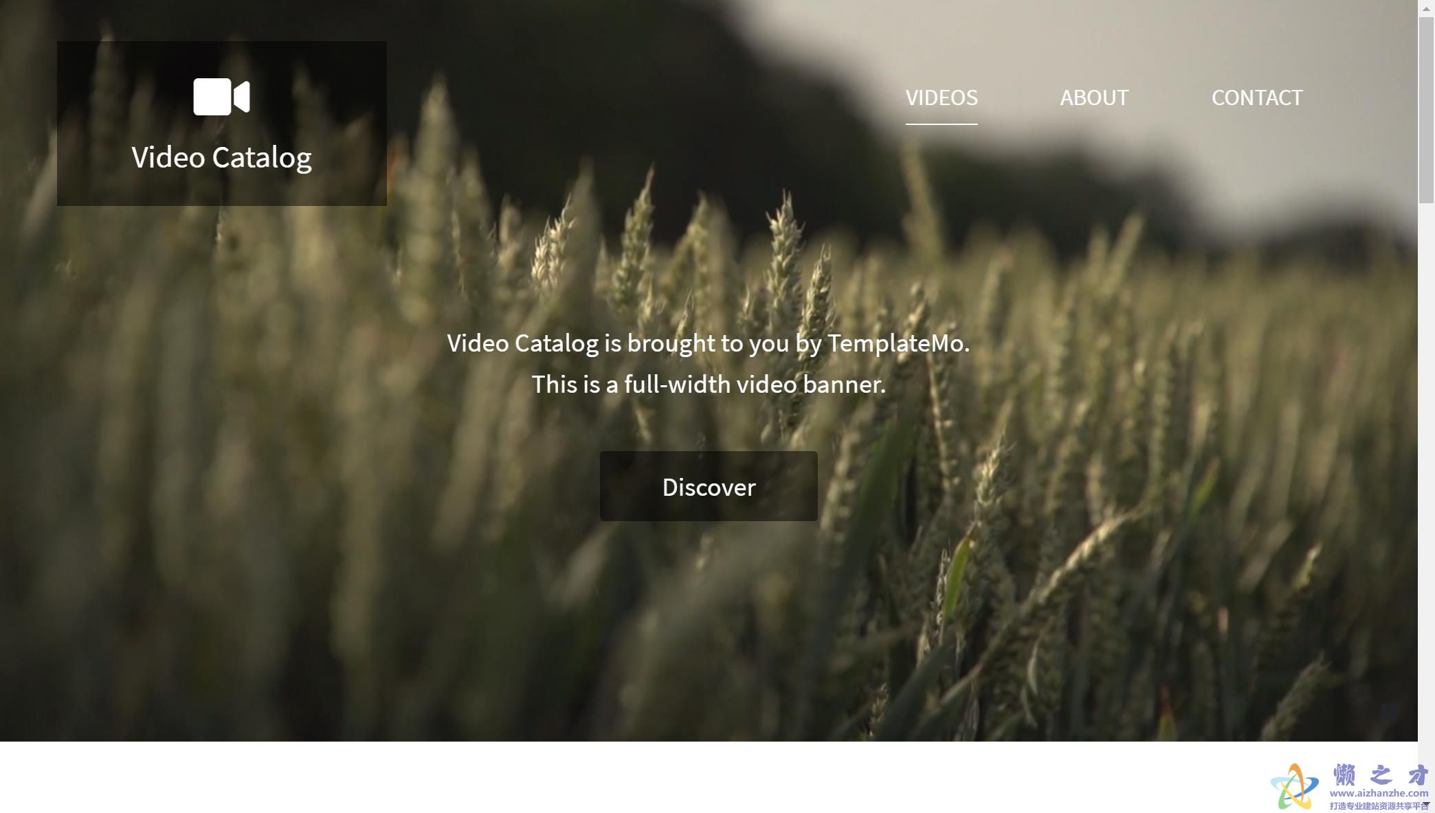 简洁高清摄影短片下载生活节气记录视频摄影网站模板