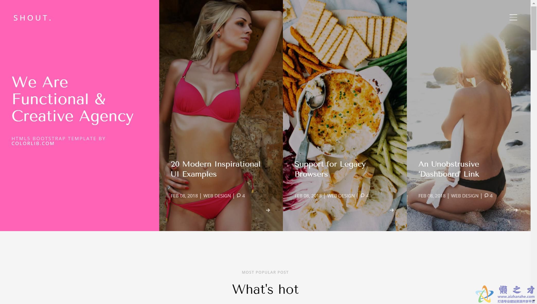 精彩日志动态展示响应式网站模板