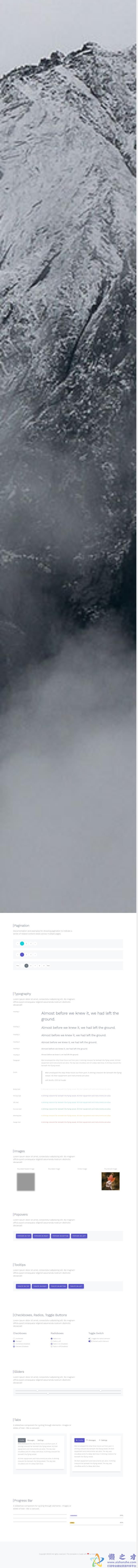 简单实用的UI套件合集网站模板