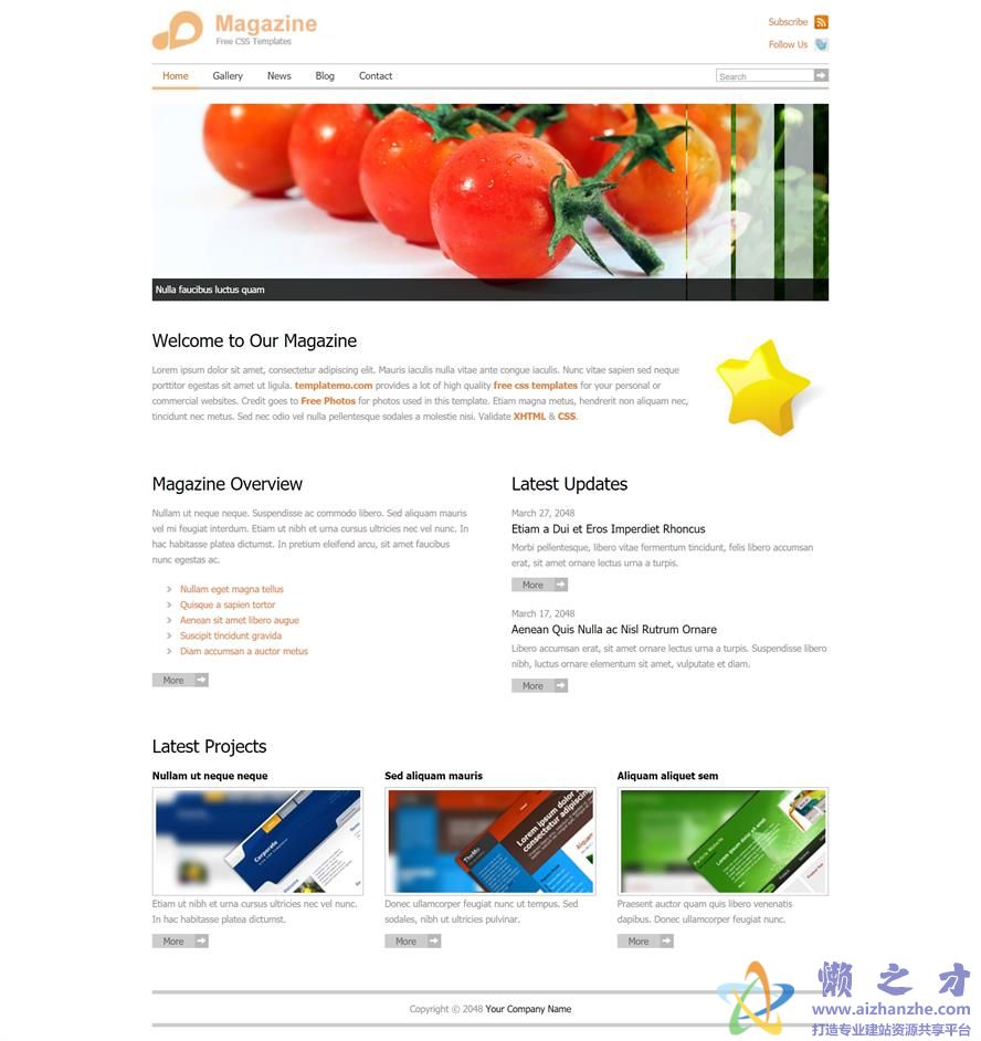 魔法视觉效果幻灯片排版时尚杂志视觉效果网站模板[ZIP][1.06MB]