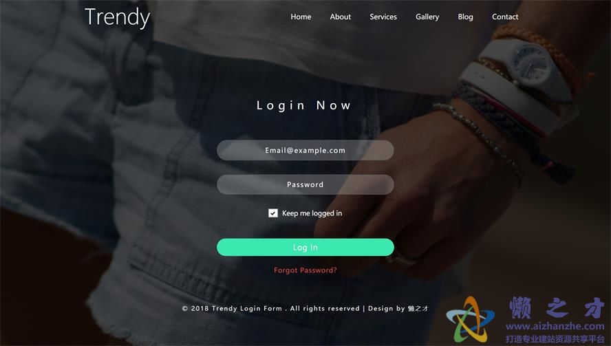 潮品登录表单网页模板[1.04MB]