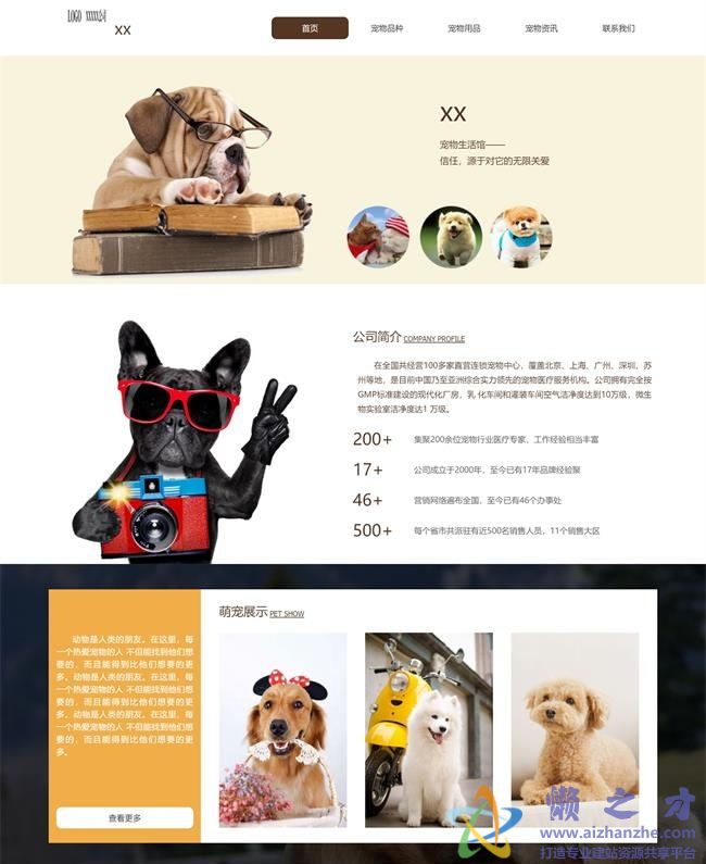 宠物护理生活馆宠物品种宠物用品猫狗饲料HTML5网页模板[2.89MB]