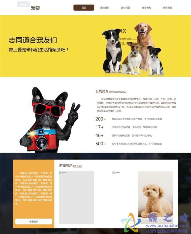 黄色主题宠物企业响应式HTML网页模板[2.87MB]