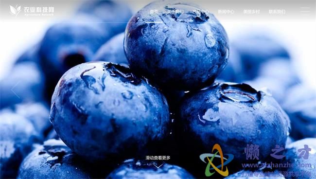 绿色简洁大气农业科技公司HTML网页模板[1.85MB]