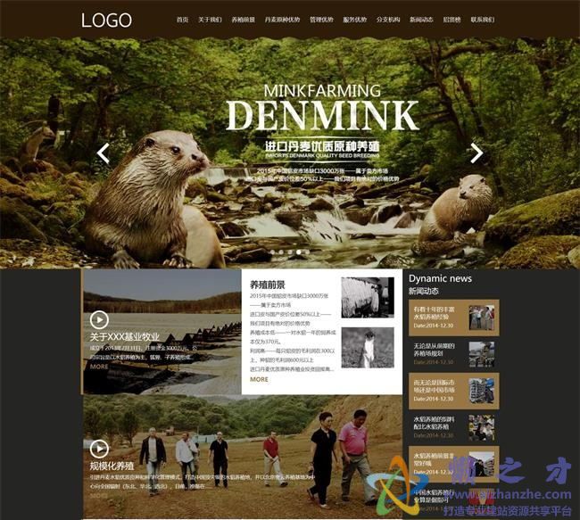 褐色大气畜牧业养殖公司HTML网页模板[1.03MB]