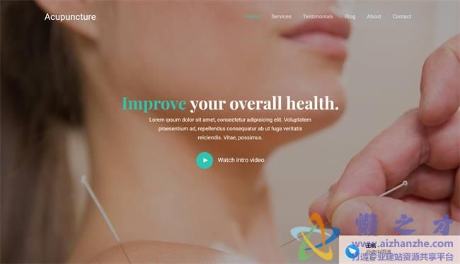 针灸理疗机构响应式HTML网页模板[2.17MB]