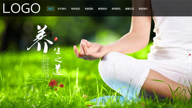 （自适应手机版）响应式经络养生健康类网站织梦模板[12.43MB]
