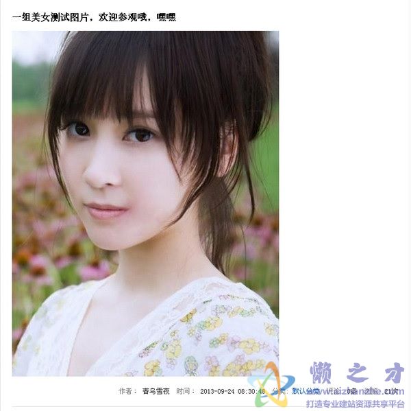 Fanmv Blogv1.0.1.925绿色版