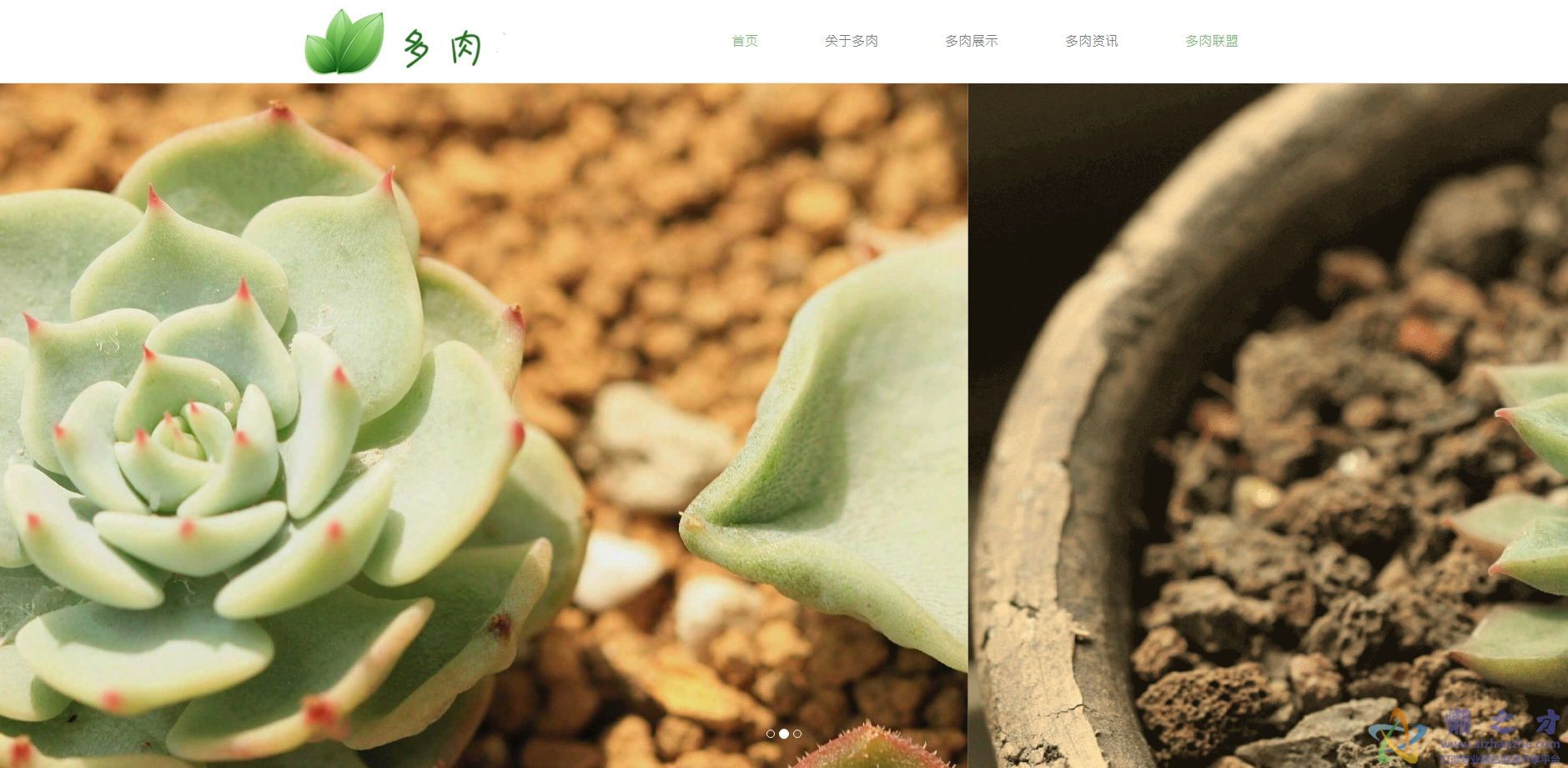 HTML5植物花卉公司响应式企业模板