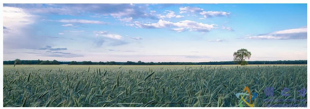 jquery实现的可兼容ie6并带左右切换按钮的幻灯片效果