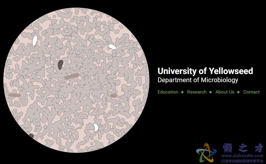 HTML5 SVG鼠标hover图形变形切换特效