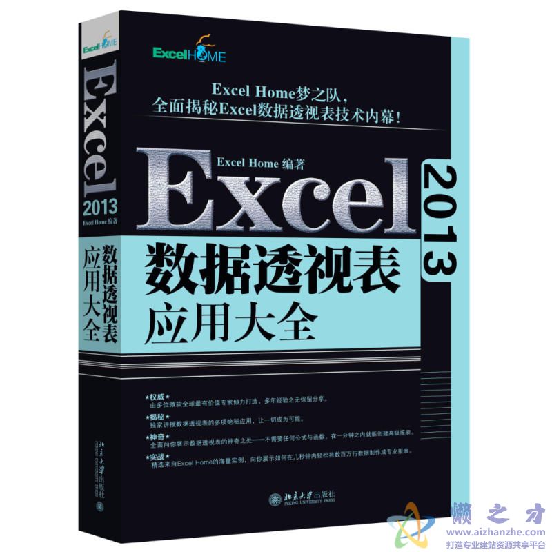 Excel 2013数据透视表应用大全[PDF][99.85MB]