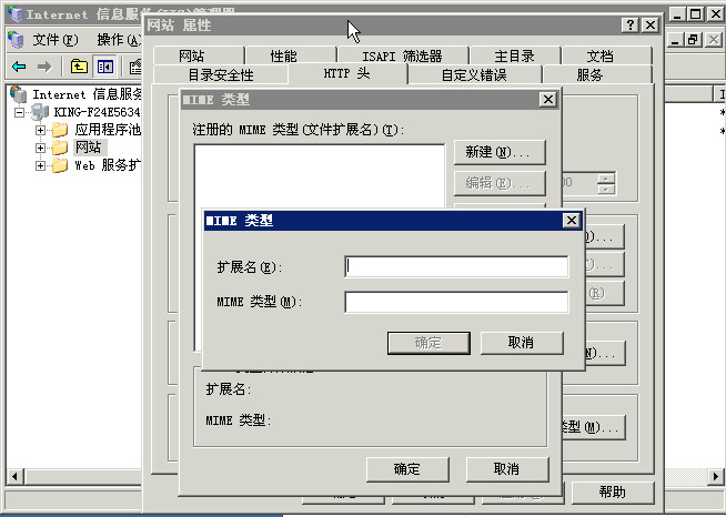 IIS添加MIME扩展类型及常用的MIME类型列表
